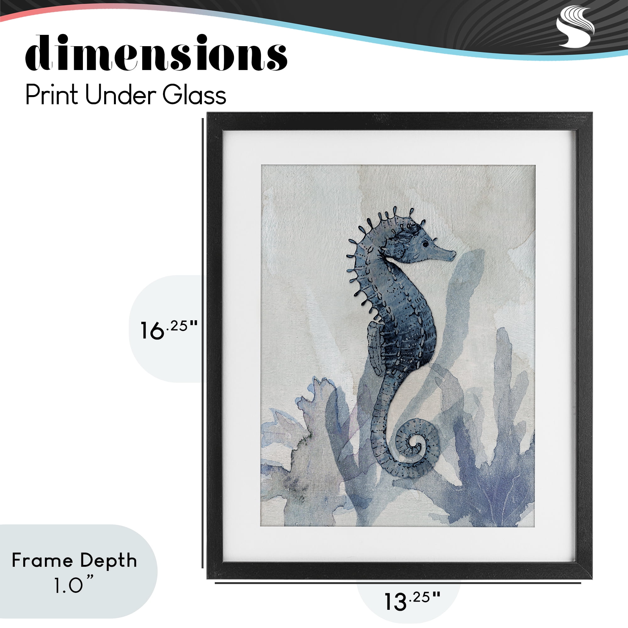 Stupell Industries Seahorse & Seaweed Impressions Black Framed Print Under Glass, design by Susan Jill