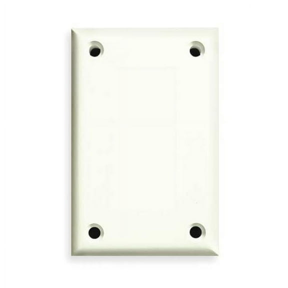 Cortech Blank Wall Plate,Jumbo;White,1Gng,Txtr TPBB