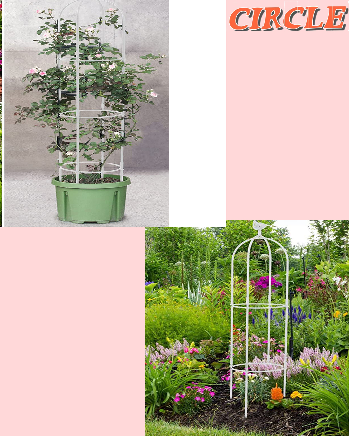 Garden Trellis for Climbing Plants
