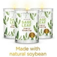 thumbnail image 2 of Magnificent 101 Earthy Sage Leaf Set of 3 Candles, 2 of 7