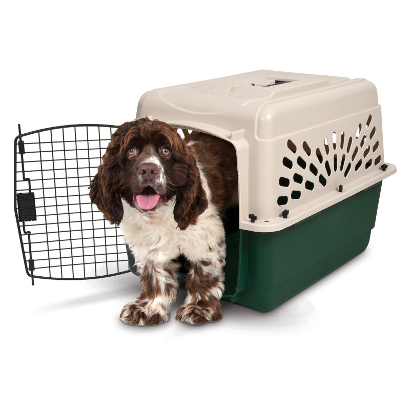 Petmate Ruffmaxx 28" Portable Dog Kennel Plastoc Pet Carrier for Dogs 20 to 30 lb, Tan/Green - image 3 of 9