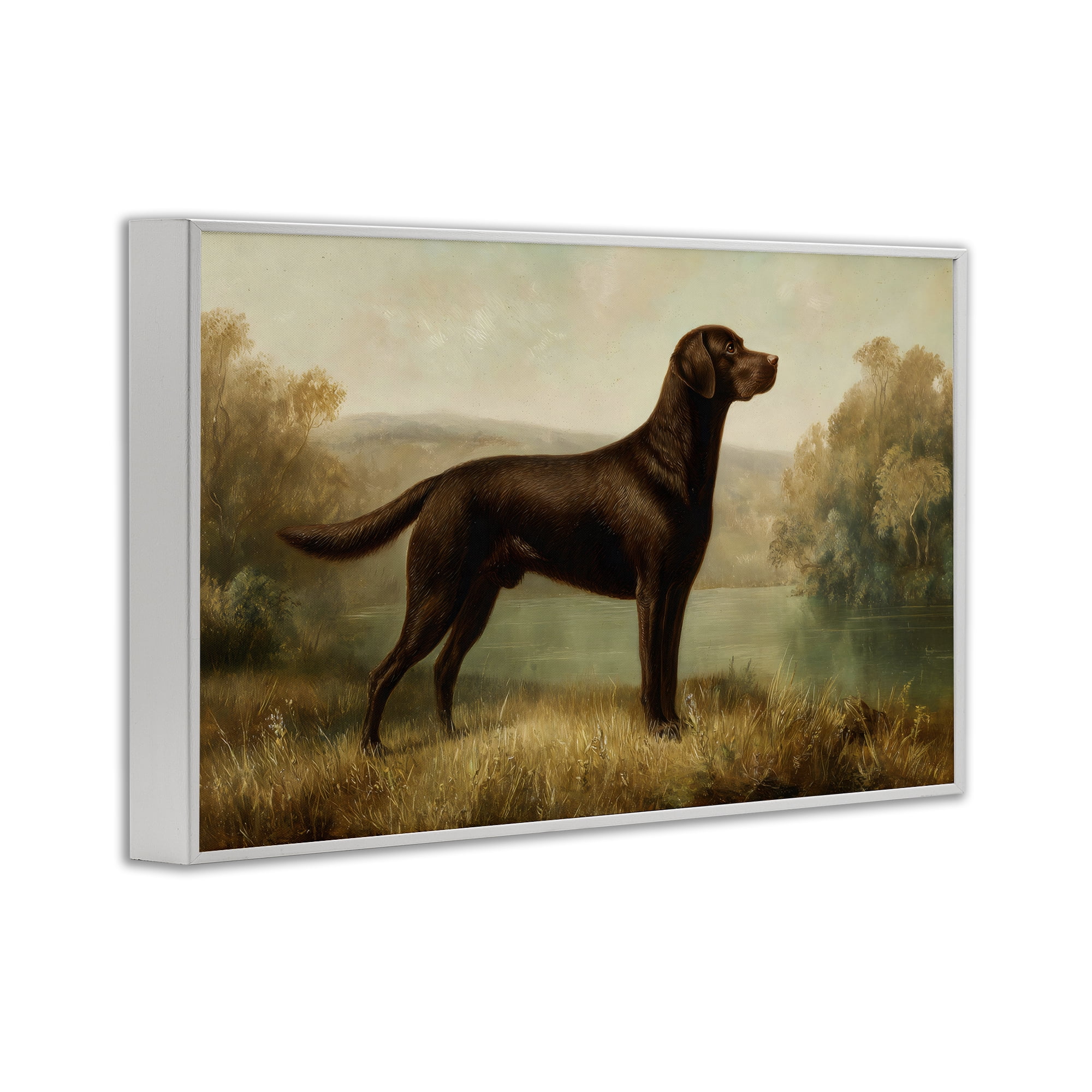Stupell Industries Chocolate Brown Labrador White Framed Giclee Art, design by Petal Prints Design