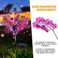 thumbnail image 3 of OriginalSourcing Solar Phalaenopsis Garden Lights Outdoor Decorative, Outdoor Solar Flower Lights for Patio, Garden, Yard, Lawn, Pathway 4th of July Decorations, 4Pcs Purple, 3 of 10