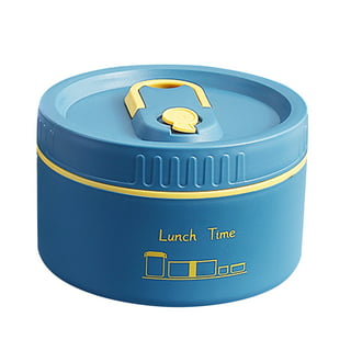 lulshou School Supplies Small Stainless Steel Insulated Lunch Box, Bento  Box For School And Work, Outdoor Lunch Camping Portable Lunch Box, Layered