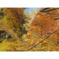 thumbnail image 4 of Ambesonne Fall Quilted Bedspread Set 3 Pcs, Maple Trees Countryside, King Size, Pale Blue Yellow Green, 4 of 5