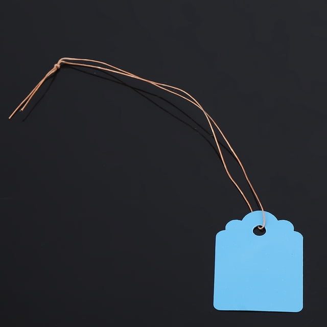 200pcs Hanging Plant Seed Label Durable PVC Hanging Flower Plant Seed Name Tag Label Marker Sign Outdoor(Blue)