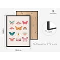 thumbnail image 2 of Haus and Hues Vintage Butterfly Posters & Butterfly Prints - Butterfly Poster Vintage Butterfly Art Wall Decor Butterfly Art Prints 12x16, 2 of 6