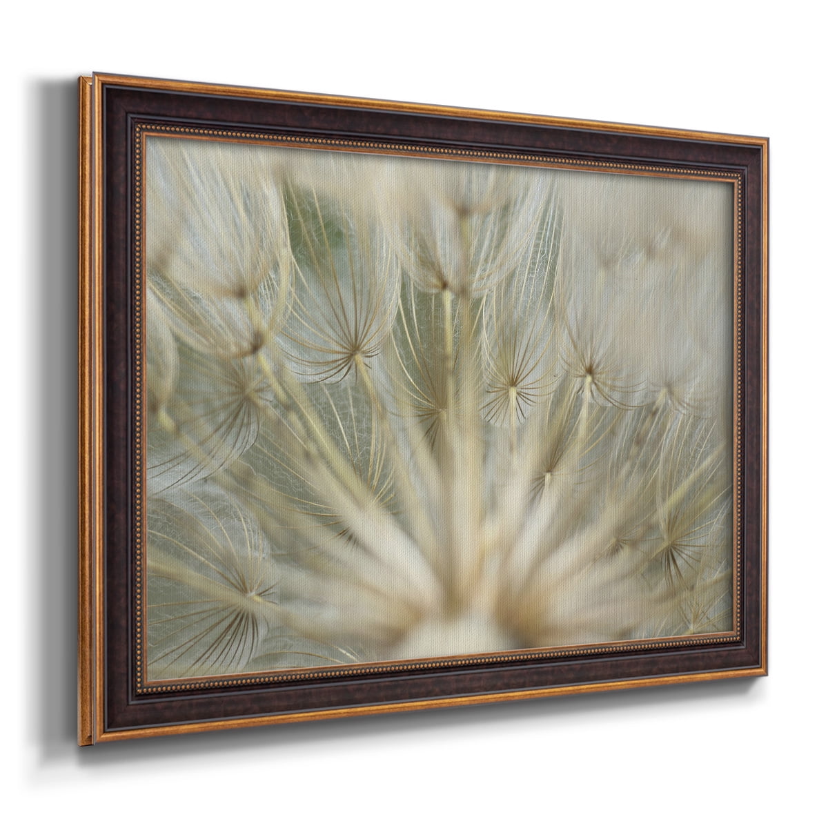 Macro Dandelion IV Premium Framed Canvas- Ready to Hang