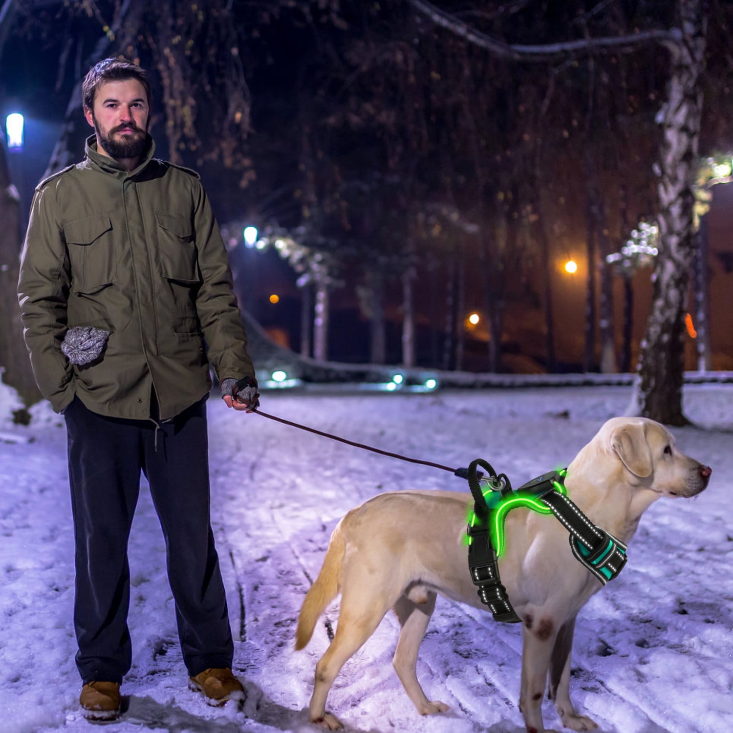 Teqhome Light Up Dog Harness LED No Pull Dog Harness Rechargeable Lighted Dog Vest Harness for Night Walking Adjustable Glowing Vest for 38.58-49.6lbs Dogs (Green, L)