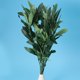 thumbnail image 1 of unbranded 2Ud Planta Decorativa Rama De Artificial Para Uso Doméstico Con Hojas, 1 of 7
