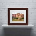 thumbnail image 3 of Trademark Fine Art "Capitol Reef Scenic" Canvas Art by Pierre Leclerc, White Matte/Wood Frame, 3 of 4