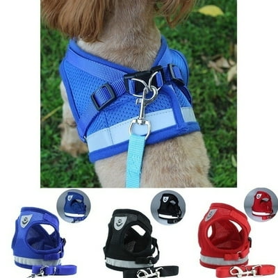 Ancol car harness online