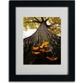 thumbnail image 2 of Trademark Fine Art "Mighty Maple and Sapling" by Kurt Shaffer, Black Frame, 2 of 3
