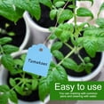 thumbnail image 4 of Hanging Flower Label, Waterproof Plant Labels, For Marking Seed Trays, 4 of 8