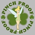 thumbnail image 2 of Boy's Peter Pan St. Patrick's Day Pinch Proof Tinkerbell  Pull Over Hoodie Athletic Heather Medium, 2 of 4