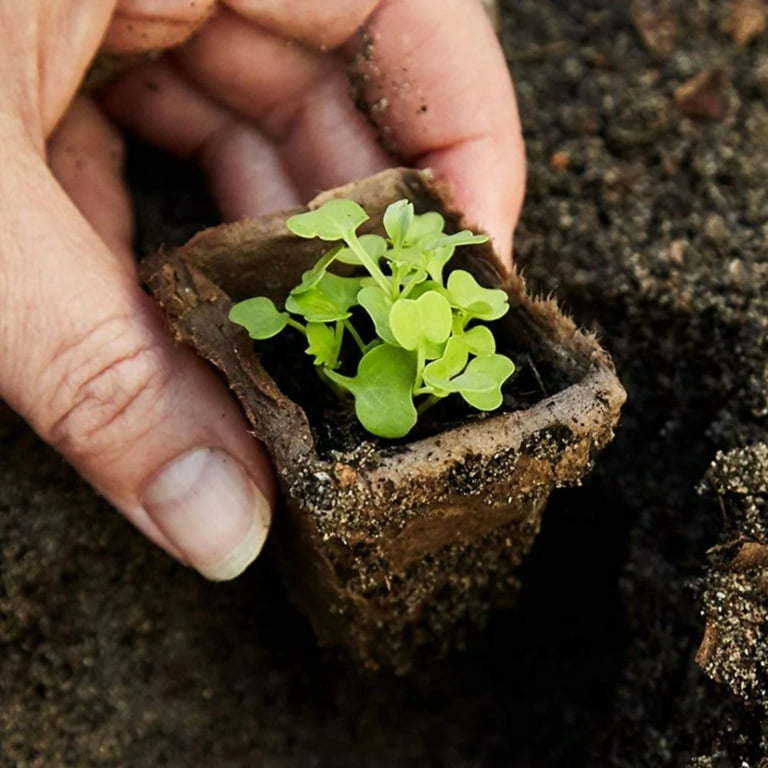 Biodegradable Seed Starting Pots | 100% Organic Recycled Paper | 60 3.5”  Pots, 24 Wooden Tags