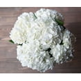 thumbnail image 2 of 5 White Hydrangea by Arabella Bouquets with a Free Hand- Blown Glass Vase (Fresh-Cut Flowers), 2 of 4