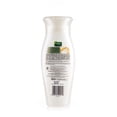 thumbnail image 4 of Dabur Vatika Natural Repair and Restore Garlic Shampoo 400 ml, 4 of 4