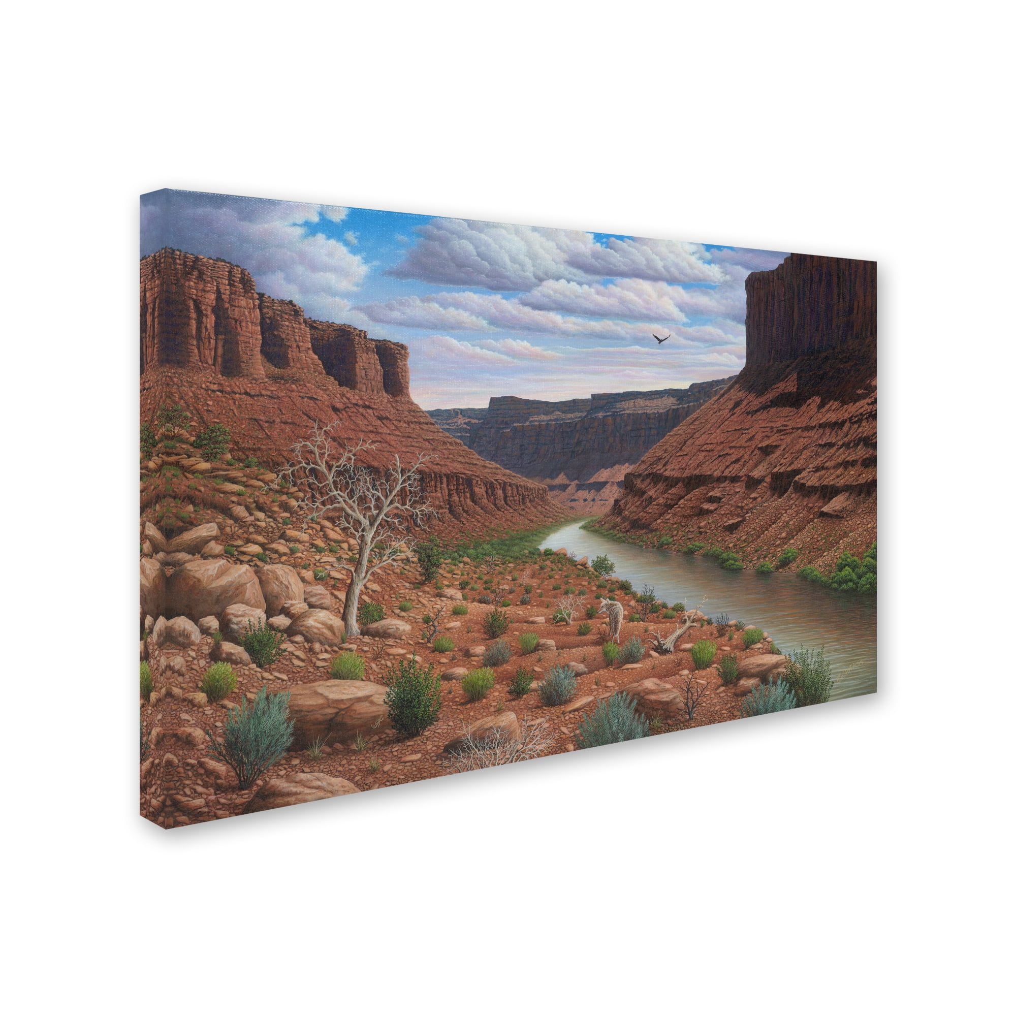 Trademark Fine Art 'Along The Colorado' Canvas Art by Robert Wavra