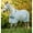 Witney Navy, variant on HORSEWARE IRELAND Newmarket Fly Sheet, Color: Witney Charcoal, Size: 81