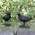 thumbnail image 4 of JoyMoreHome Set of 2 Crow Statues Outdoor Decor for Tree, Resin Bird Figurines Fake Black Raven Decoy Halloween Decoration for Yard, Garden, Deck, Patio Ornaments, 4 of 6