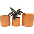 thumbnail image 3 of Terracotta Pots for Plants, 4 Inch 5 in 6 Inch, Succulent Planter Flower Pot with Drainage and Saucer, 3 of 4