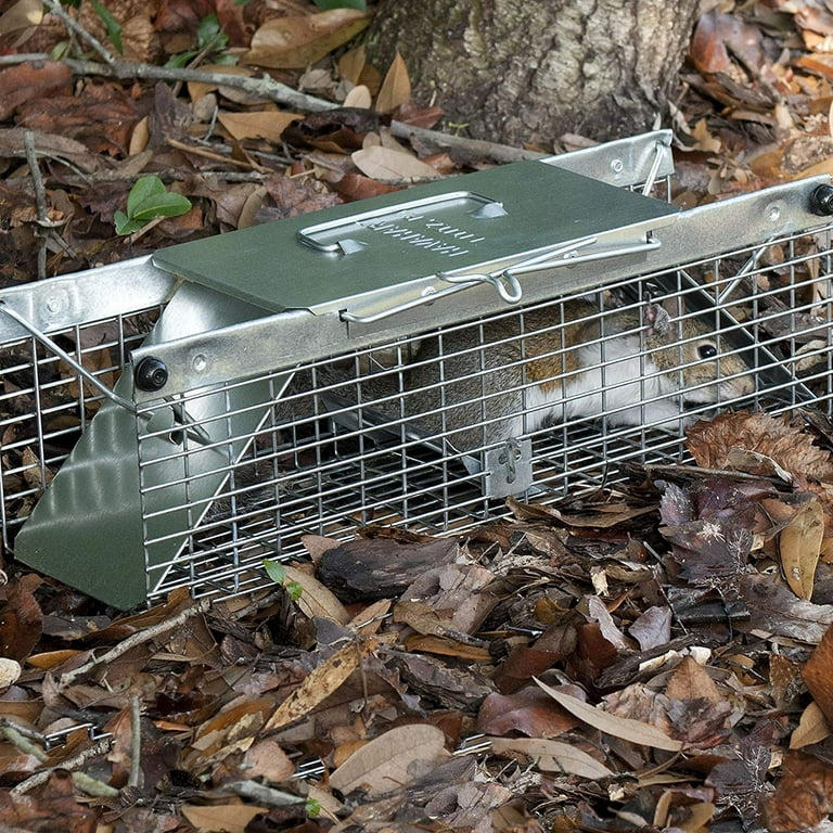 Havahart 1025 Small 2-Door Live Animal Trap Ideal for catching squirrels,  chipmunks, rats, weasels 
