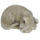 thumbnail image 3 of Lápida conmemorativa para mascotas, lápida conmemorativa para mascotas, lápida resistente a la intemperie para mascotas, piedra conmemorativa para jardín para mascotas, rendimiento impulsado, 3 of 12