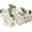 White, variant on HAOSHICS 3Pcs Artificial Apple Blossom Bouquets Fake Flowers Bunches Silk Apple bBlossom Branches for Vase Indoor Home Decor (White)