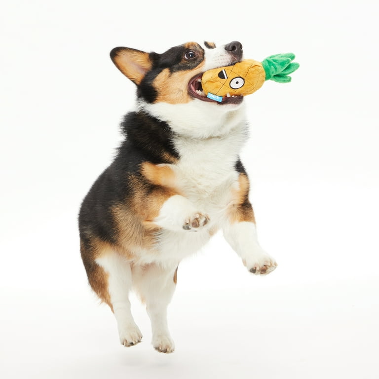 Penny the pineapple dog cheap toy