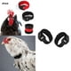 thumbnail image 5 of 12x Collar de pollo ajustable para que grite por negro, 5 of 8