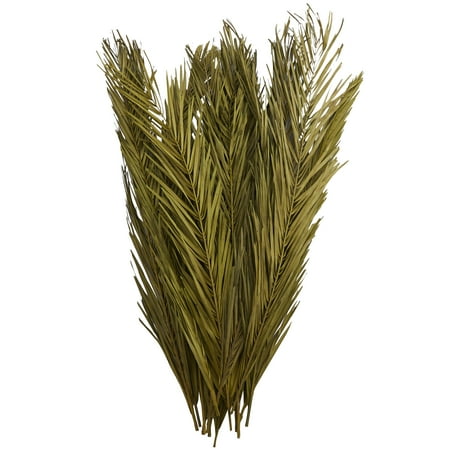 43 Dried Plant Natural Foliage Palm Leaf Bouquet with Feather Inspired Stems by DecMode