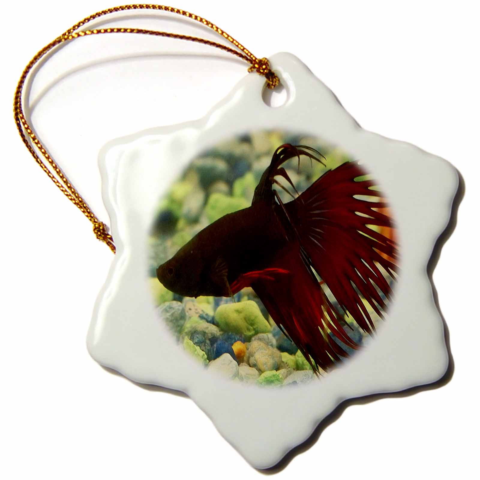 3dRose Betta Fish Snowflake Ornament, 3inch