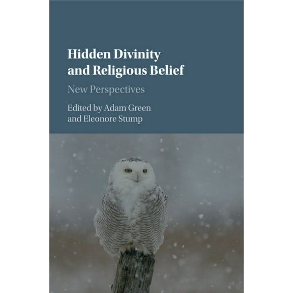 Hidden Divinity and Religious Belief, (Paperback)