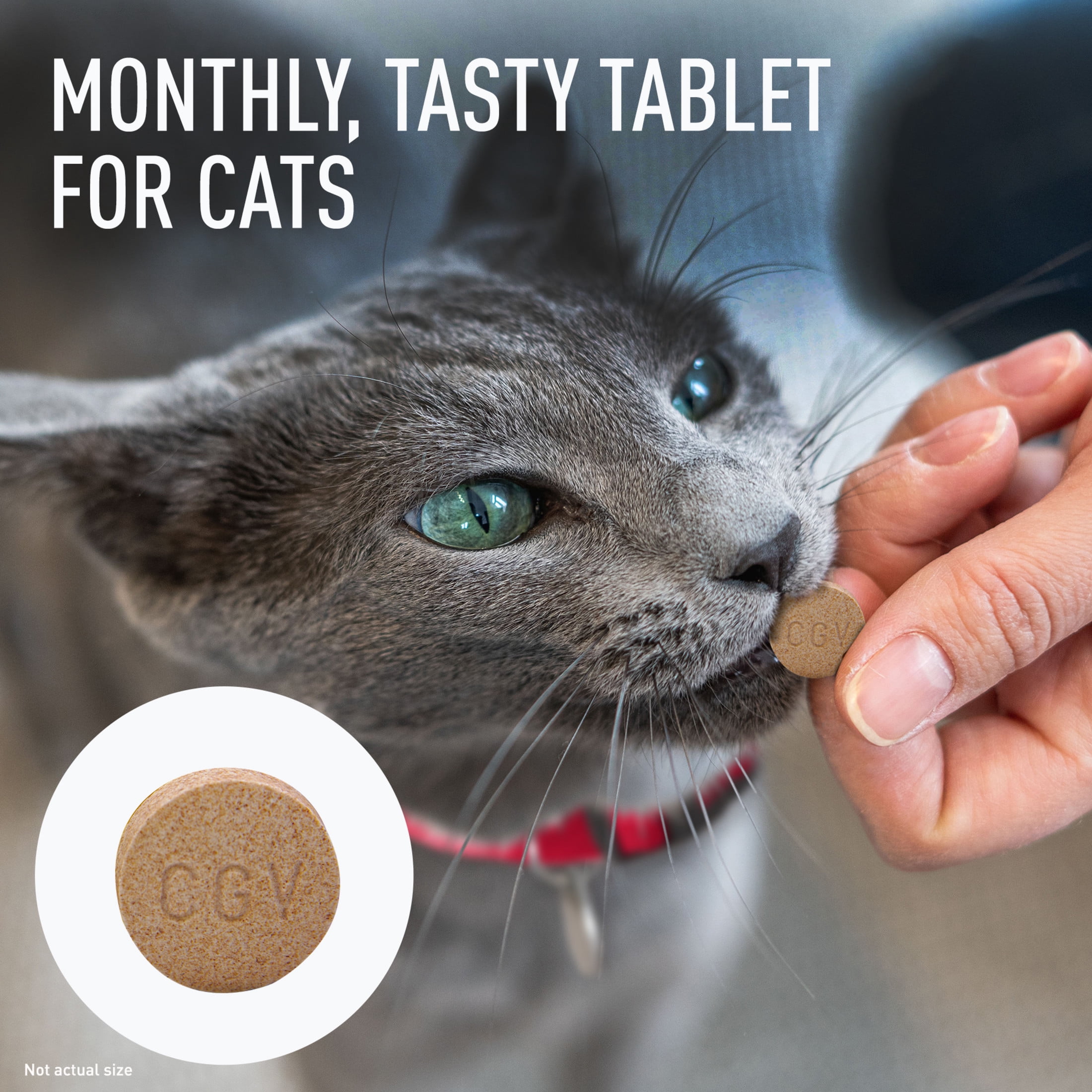Interceptor Tablets, 26-50 lbs. for Dogs and 6.1-12 lbs. for Cats (Yellow), 6-Month Supply