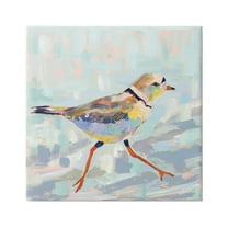 Stupell Industries Coastal Plover Abstract Bird Painting Gallery Wrapped Canvas Print Wall Art, Design by Jeanette Vertentes
