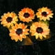 thumbnail image 5 of CaiYueKe Solar Sunflower Lights Outdoor Garden Decor Waterproof Solar Powered LED Lights for Yard Patio Pathway Landscape Lighting Automatic Solar Lamp, 5 of 8