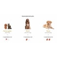thumbnail image 3 of Gerioox 30 Tabs, Suplemento antioxidante y condroprotector para perros y gatos, 3 of 4