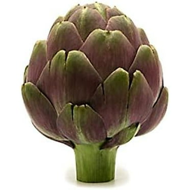 Purple Romagna Artichoke Seeds (Cynara scolymus) – 25  Heirloom Non-GMO Seeds by Isla’s Garden Seeds, Ideal for Planting and Perfect Gardening Gift