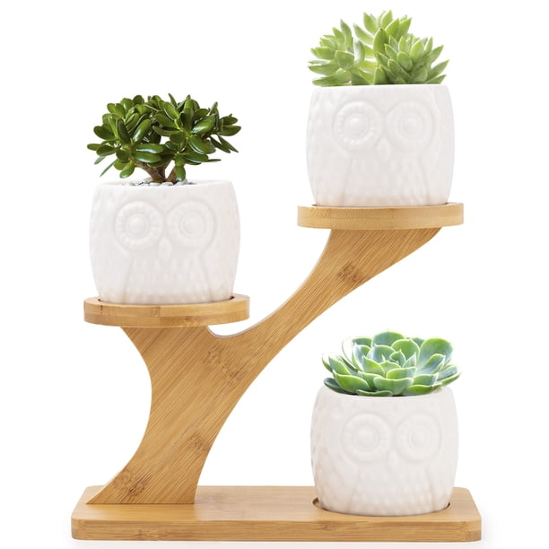 3 macetas suculentas de cerámica con diseño de búho, mini macetas con platillos de bambú de 3 niveles, pequeñas macetas decorativas modernas con orificio de drenaje para decoración de escritorio del h