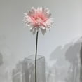 thumbnail image 2 of Pink Gerbera Daisy, 2 of 3