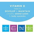 thumbnail image 3 of Replesta Cholecalciferol 50 000 IU Vitamin D3, Natural Orange 4 ct, 3-Pack, 3 of 4
