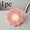 B, variant on Flower-Shaped Kitchen Cleaning Sponge | Durable Scouring Cloth for Utensils and Tabletops