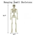 thumbnail image 2 of Halloween Decoration Outdoor Skeleton, 16" Plastic Posable Skeleton with Movable Joints, Small Hanging Skeletons for Halloween Decor, Haunted House Graveyard Props, 2 of 5