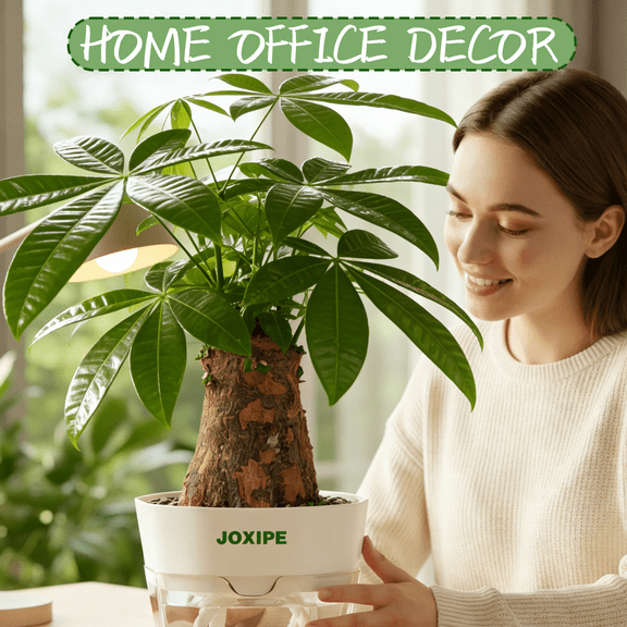 Money Tree Decor in Decorative Pot – Flower Pot with Automatic Watering, Air-Freshening Home & Office Decoration, Perfect for Room, Desk or Shelf, Ideal Housewarming & Birthday Gift