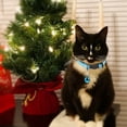 thumbnail image 4 of Shisuyan 5pcs Cat Collars With Bell Pet Neck Chains Delicate Necklaces For Kittens For Parties And Special Occasions, 4 of 8