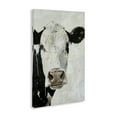 thumbnail image 3 of Stupell Industries Cottage Up Close Cow Canvas Art, 24 x 36, by Petals Prints Design, 3 of 8