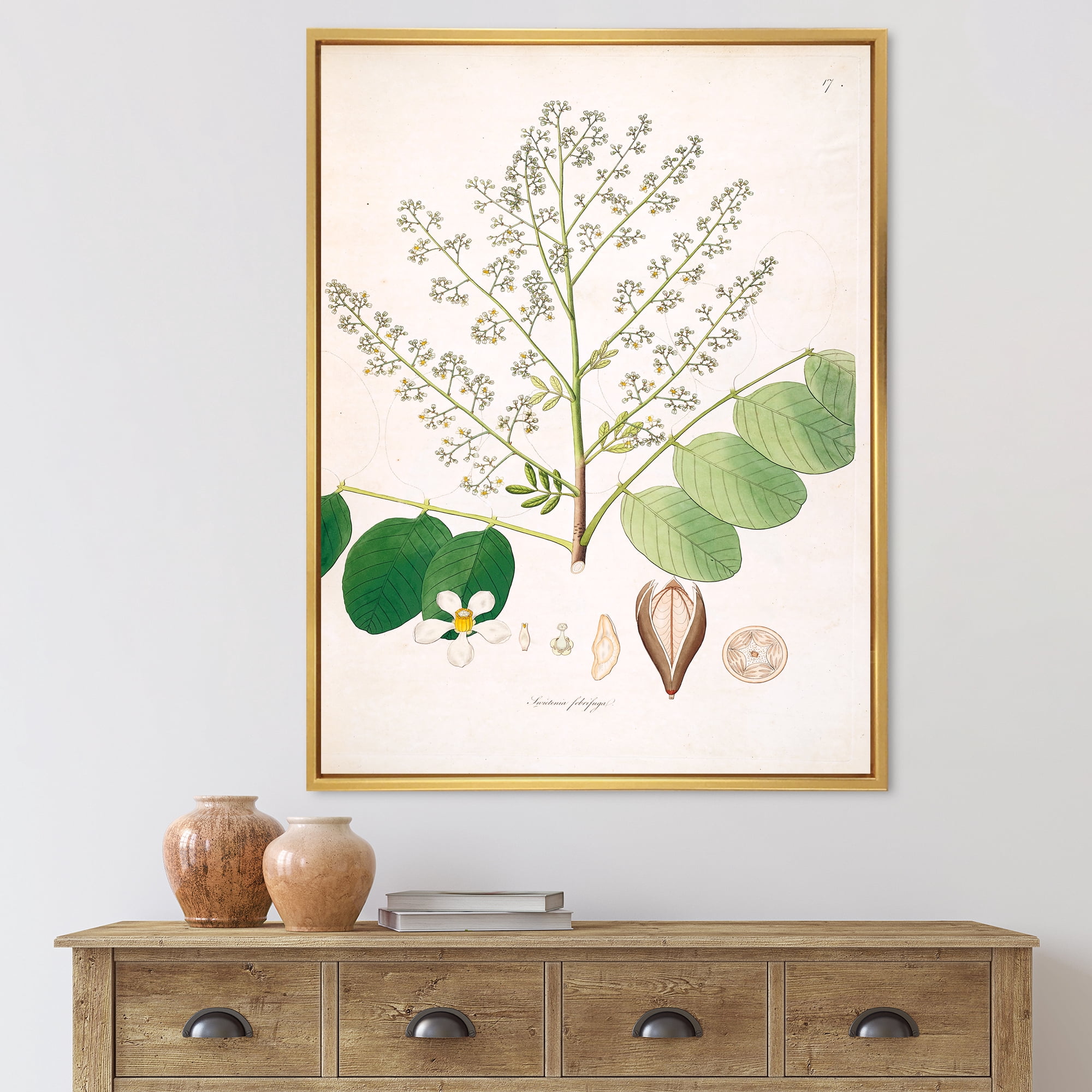 Ancient Botanicals XVI 16 in x 32 in Framed Painting Canvas Art Print, by Designart