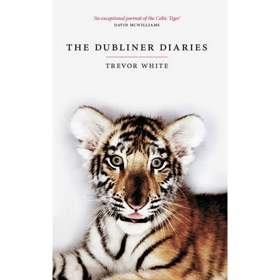 The Dubliner Diaries (Paperback)