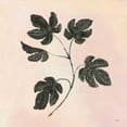 thumbnail image 3 of Purinton, Julia 15x15 Black Modern Framed Museum Art Print Titled - Botanical Study III Blush, 3 of 5